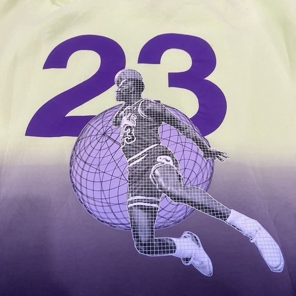 NIKE AIR JORDAN 23ENGINEERED STATEMENT FLEECE HOODIE CZ4816-383 Men Sz XL NWT - Picture 15 of 16